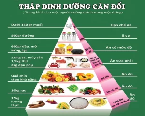 "Nhóm thực phẩm gồm bánh mì, ngũ cốc, gạo và mì ống, đại diện cho 6-11 phần ăn mỗi ngày. Hình ảnh thể hiện các loại thực phẩm giàu tinh bột như bánh mì lát, ngũ cốc ăn sáng, gạo trắng và mì ống được bày biện hấp dẫn, là nguồn cung cấp năng lượng chính trong khẩu phần ăn hàng ngày."